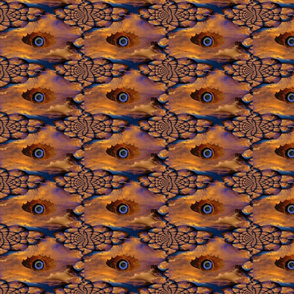 eyeinskyfabric