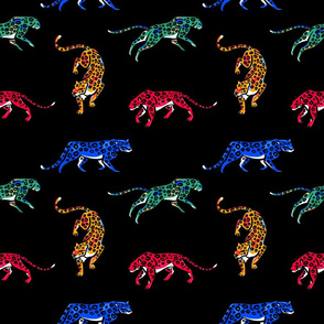 Colorful leopards. Wild cats