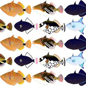 8 Triggerfish