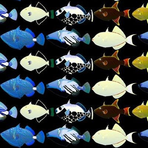 8 Triggerfish in reverse colors