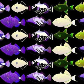 8 Triggerfish reversed purple shift