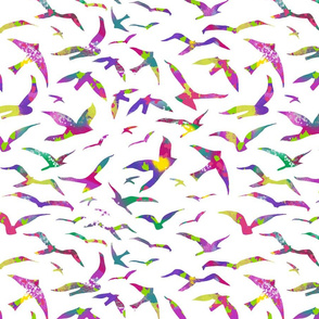 Colorful Migration