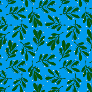 mistletoe on blue