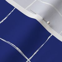 Casual Grid-white-on-Ultramarine