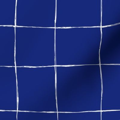 Casual Grid-white-on-Ultramarine