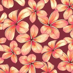 Plumeria - burgundy