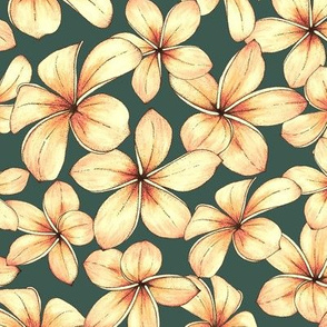 Plumeria - green