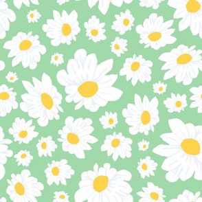 Field of Daisies in Mod Mint