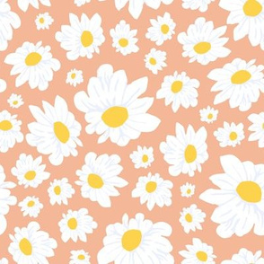 Field of Daisies in Peach