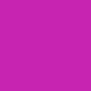 Purple Magenta Clear Cool Deep Winter Seasonal Color Palette