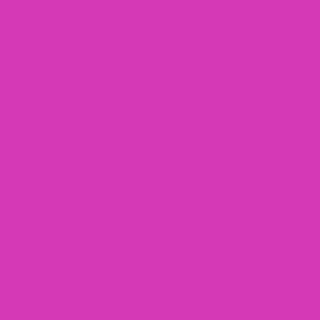 Medium Pink Magenta Clear Spring Seasonal Color Palette