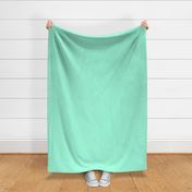 Spring Mint Linen-solid