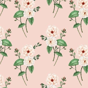 Ivory Peach Roses on Warm pink // standard