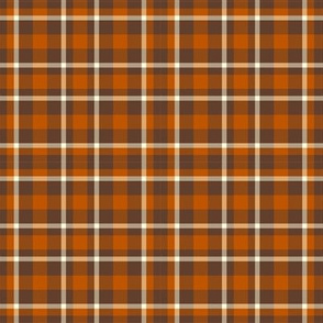 Clear Spring Brown Plaid Seasonal Colors Palette