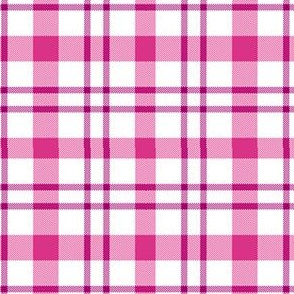 Clear Winter  Pink White Plaid Seasonal Color Palette