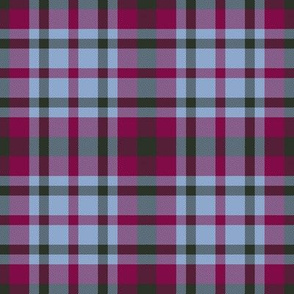 Cool Winter Maroon Gray Plaid Seasonal Color Palette