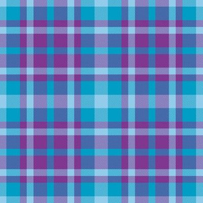 Cool Winter Blue Turquoise Purple Plaid Seasonal Color Palette