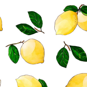 lemons with leaves