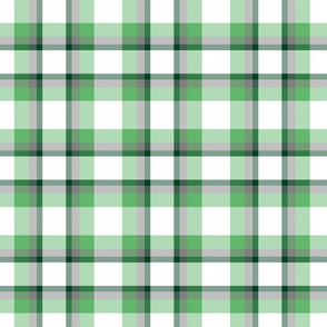 Fresh Green Chive / Plaid / Check 