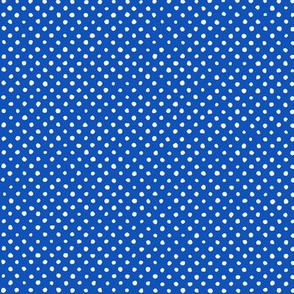 A Little Dotty: Blue & White Dots