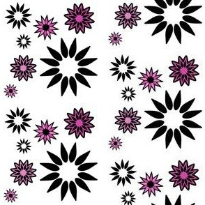 Flower Pink Daisy Spin