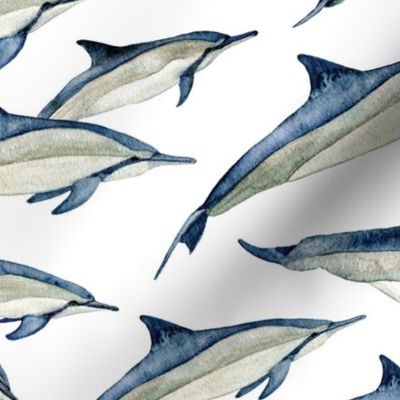 watercolor spinner dolphins (large)