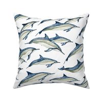 watercolor spinner dolphins (large)