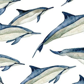 watercolor spinner dolphins (large)