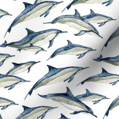 watercolor spinner dolphins 