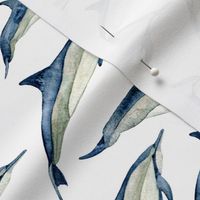 watercolor spinner dolphins 