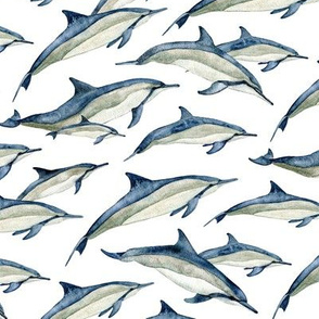 watercolor spinner dolphins 