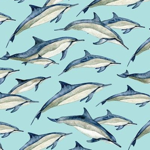 watercolor spinner dolphins on aqua 