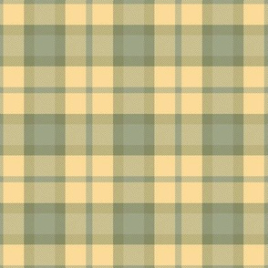 Soft Autumn Yellow Green Plaid Seasonal Color Palette