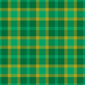 Warm Autumn Green Plaid Seasonal Color Palette