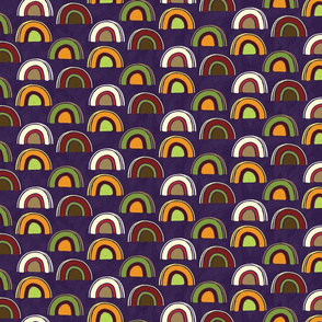 rainbows in the sky_amethyst_20x_150