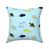 Atlantic Triggerfish Scatter on light blue