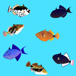 7 Indo-Pacifc Triggerfish Scatter on sea blue