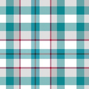 Teal Day Dream Plaid  / small-med.  