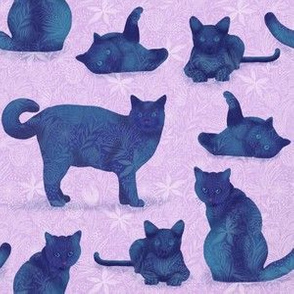 Small scale • Blue cats - rose