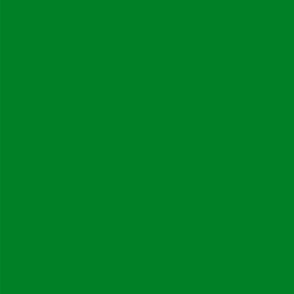 Pride Flag - Green