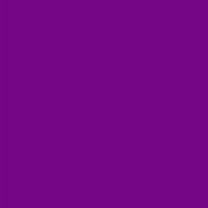 Pride Flag - Purple 