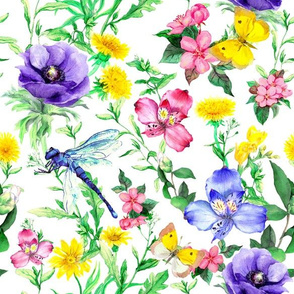 Watercolor meadow flowers, butterflies, dragonfly