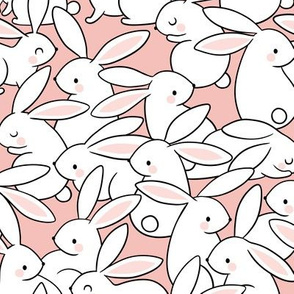 White Rabbits / Blush
