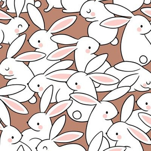 White Rabbits / Terracotta