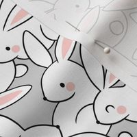 White Rabbits / Light Grey