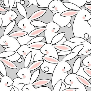 White Rabbits / Light Grey