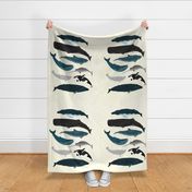 HALF YARD - minky whales fabric, whale design, baby blanket