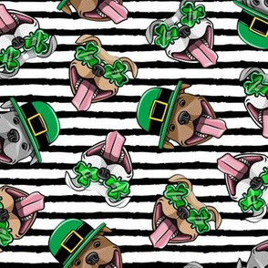 Happy Pit Bulls - St. Patricks Day - Irish -  black stripes - shamrock glasses - LAD19
