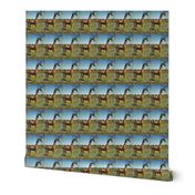 carousel_giraffe_fabric