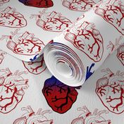 Anatomical Red Hearts